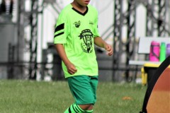 IMG_0282-1