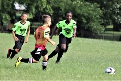 IMG_0921
